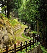 Cross stitch pattern: #891765