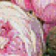 Preview of cross stitch pattern: #891794