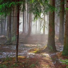 Cross stitch pattern: #891833