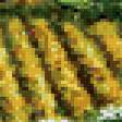 Preview of cross stitch pattern: #891953