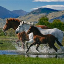 Cross stitch pattern: #892146