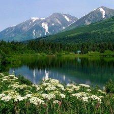 Cross stitch pattern: #892170