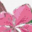 Preview of cross stitch pattern: #892240