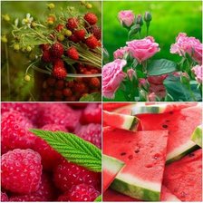 Cross stitch pattern: #892403