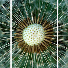 Cross stitch pattern: #892647