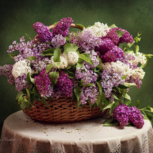 Cross stitch pattern: #892911
