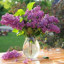 Cross stitch pattern: #892912