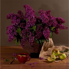 Cross stitch pattern: #893208