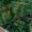 Preview of cross stitch pattern: #893221