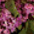 Preview of cross stitch pattern: #893229
