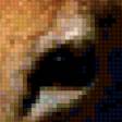Preview of cross stitch pattern: #893243