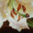 Preview of cross stitch pattern: #893264