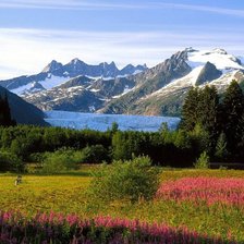 Cross stitch pattern: #893539