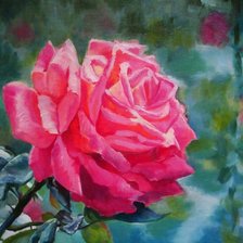 Cross stitch pattern: #893719
