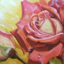 Cross stitch pattern: #893727