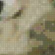 Preview of cross stitch pattern: #893797
