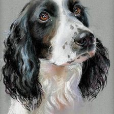 Cross stitch pattern: #893857