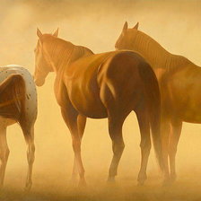 Cross stitch pattern: #893902