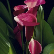 Cross stitch pattern: #893908