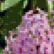 Preview of cross stitch pattern: #894021
