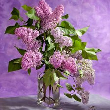 Cross stitch pattern: #894021