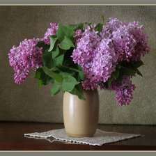 Cross stitch pattern: #894024