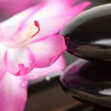 Cross stitch pattern: #894077