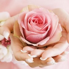 Cross stitch pattern: #894080