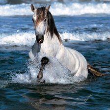 Cross stitch pattern: #894087