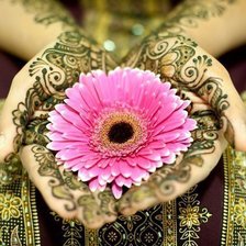 Cross stitch pattern: #894093