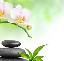 Cross stitch pattern: #894337