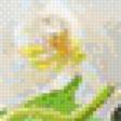 Preview of cross stitch pattern: #894338