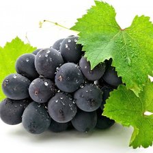 Cross stitch pattern: #894357