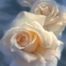 Cross stitch pattern: #894428