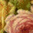 Preview of cross stitch pattern: #895130
