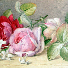 Cross stitch pattern: #895155