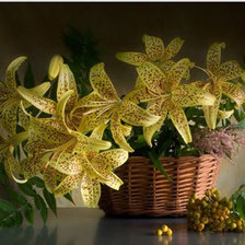 Cross stitch pattern: #895297