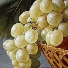 Cross stitch pattern: #895527