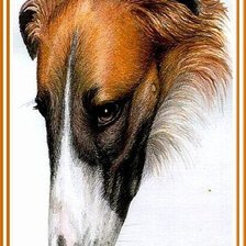 Cross stitch pattern: #895529
