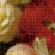 Preview of cross stitch pattern: #895625