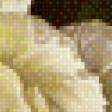 Preview of cross stitch pattern: #895631