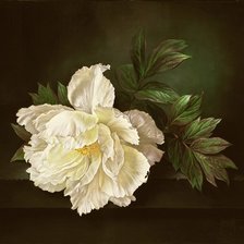 Cross stitch pattern: #895631
