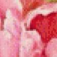 Preview of cross stitch pattern: #895633
