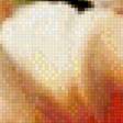 Preview of cross stitch pattern: #895636