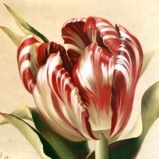 Cross stitch pattern: #895658