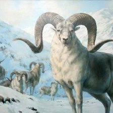 Cross stitch pattern: #895910