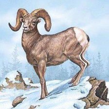 Cross stitch pattern: #895912