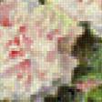 Preview of cross stitch pattern: #895967