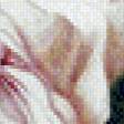 Preview of cross stitch pattern: #895968