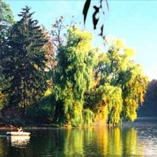 Cross stitch pattern: #895989